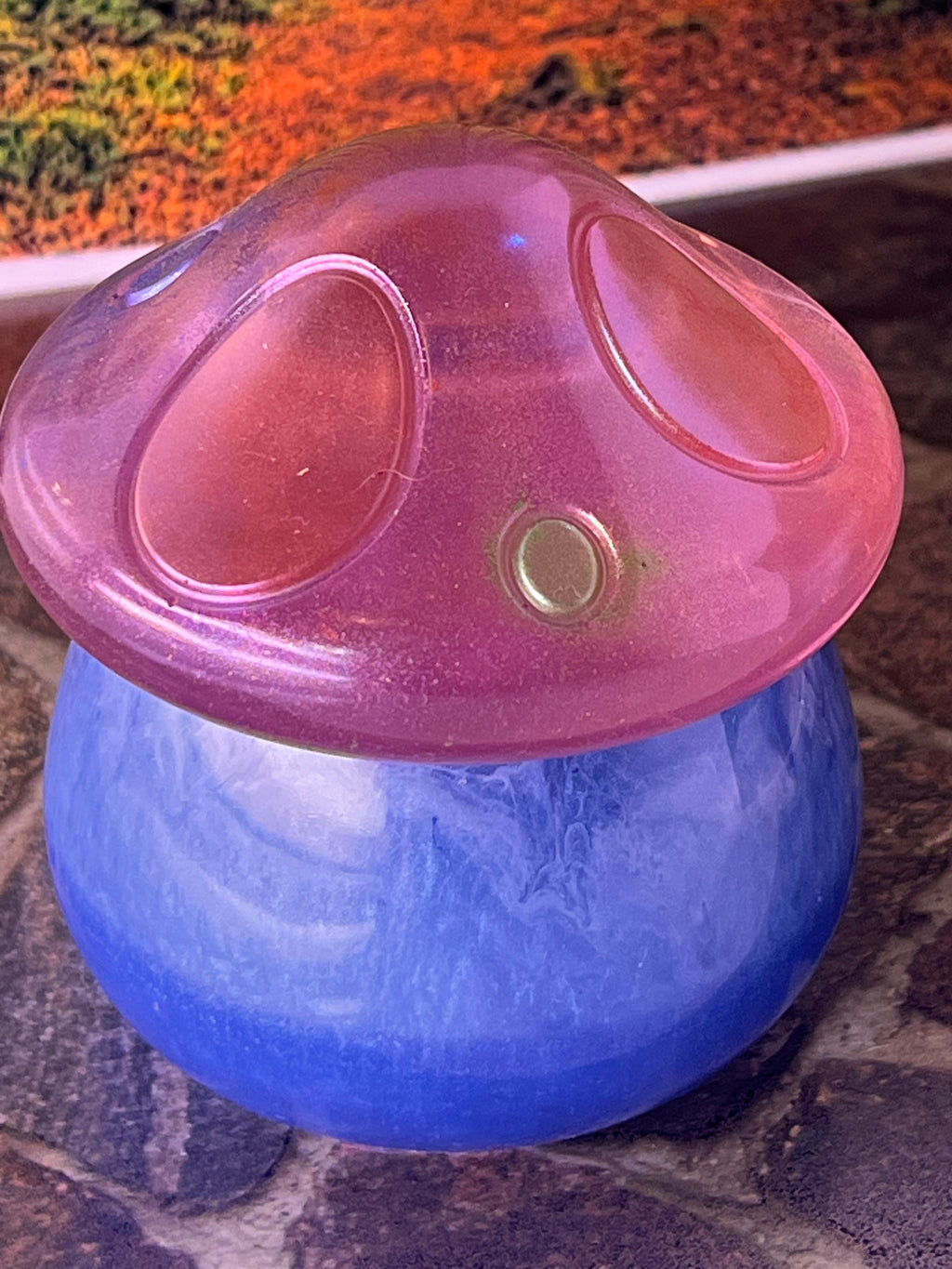 🍄Rose Ember Mushroom Jar — 4oz