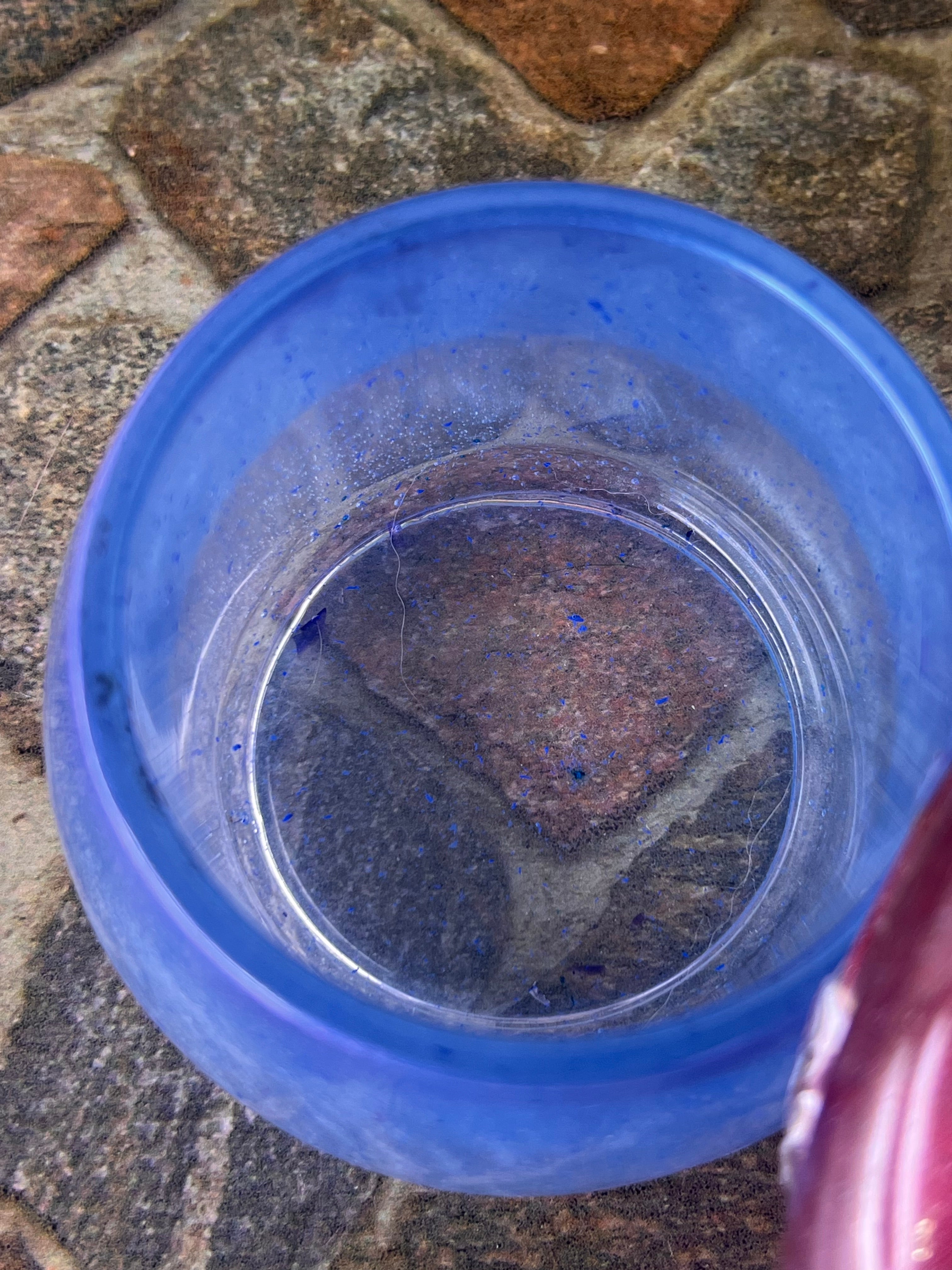 🍄Rose Ember Mushroom Jar — 4oz