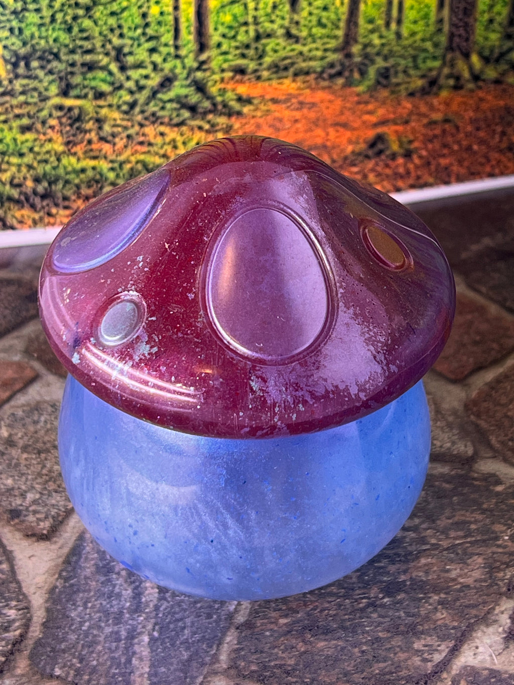 🍄Rose Ember Mushroom Jar — 4oz