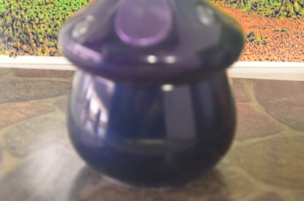 🍄 ThermoShift Twilight Mushroom Jar — 4oz