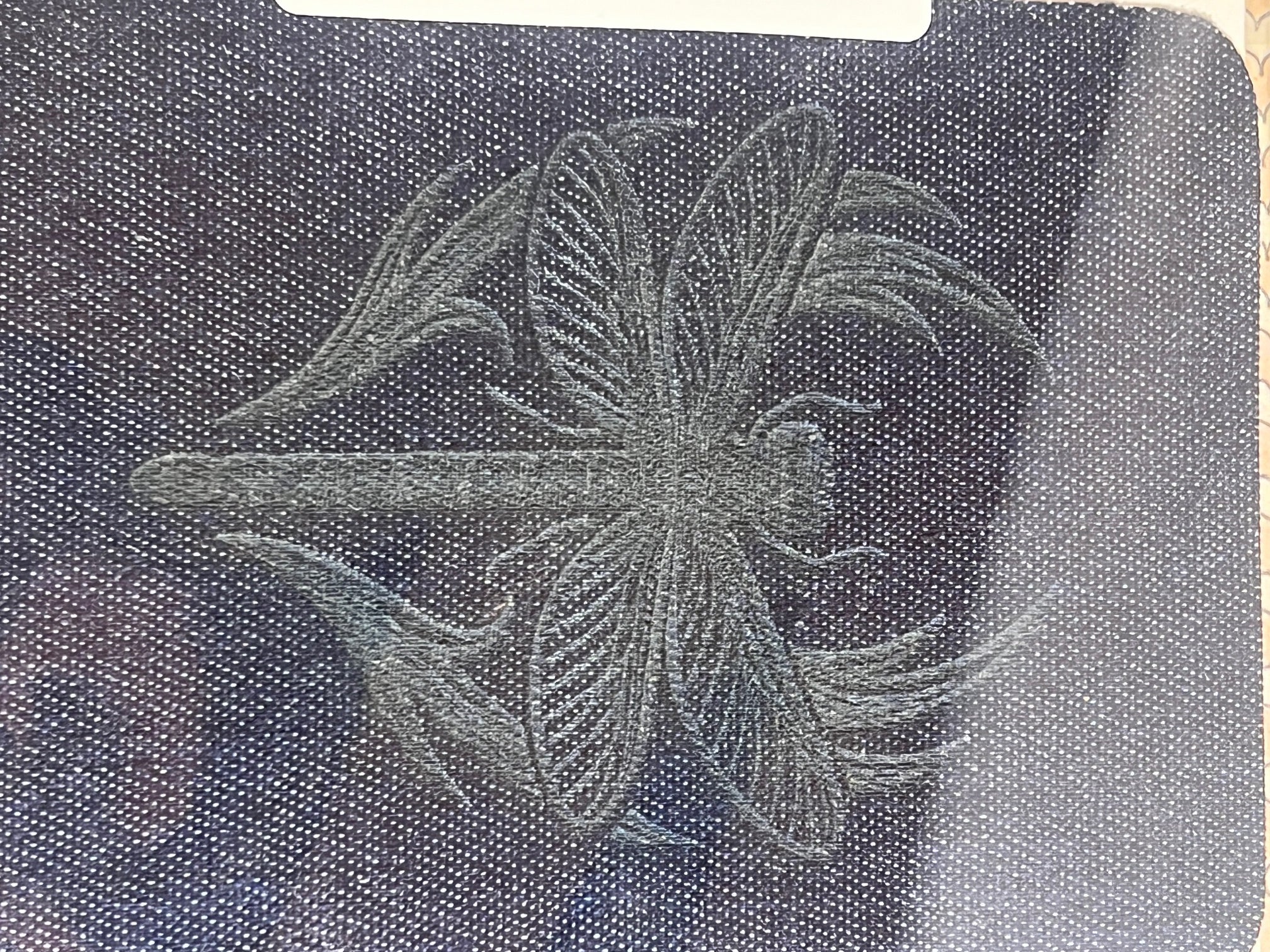 🦋🐉 Bear Claw Arcane Iron on Patch Set – Butterfly & Dragonfly